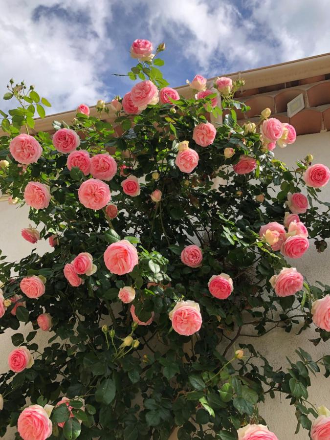 Villa L'Art De Fer Saint-Paul-de-Vence Dış mekan fotoğraf